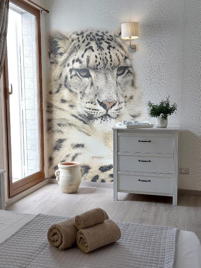 Sweet Home & Wellness Affittacamere ネットゥーノ エクステリア 写真