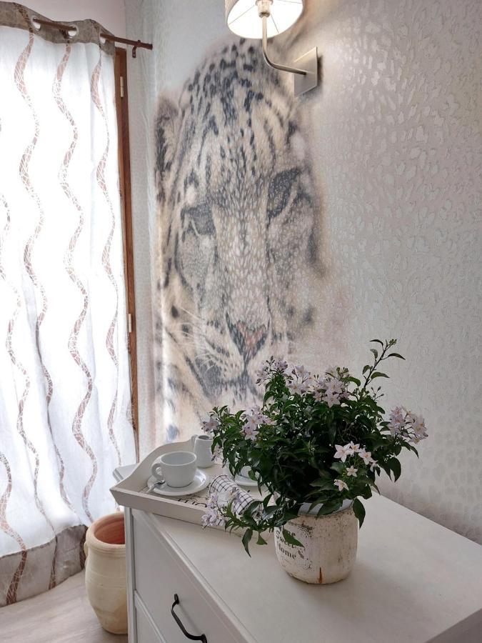 Sweet Home & Wellness Affittacamere ネットゥーノ エクステリア 写真